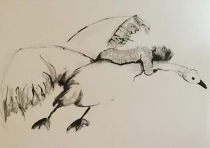 Original drawing of a boy riding swan. Ink on paper, by Jenny Neill.