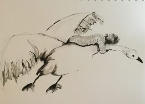 Original drawing of a boy riding a flying swan. Ink on paper, by Jenny Neill.